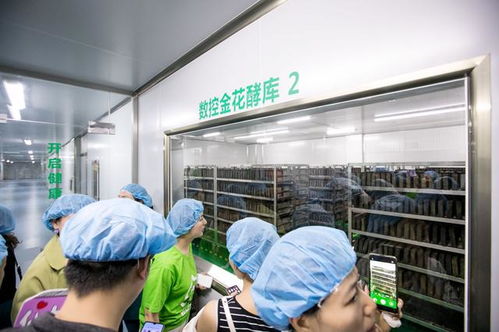 淘小鋪楓葉聯盟掌柜參觀輕輕茶 攜手探索茶葉新方向