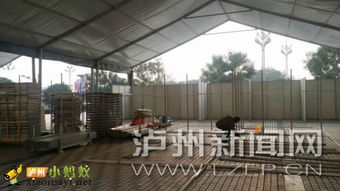 特色年貨匯西南 商貿城內迎新春